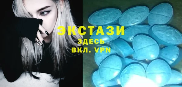 стаф Кущёвская