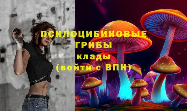 героин Покачи