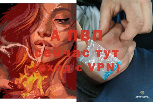 spice Пестово