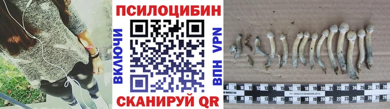 Галлюциногенные грибы GOLDEN TEACHER Сасово