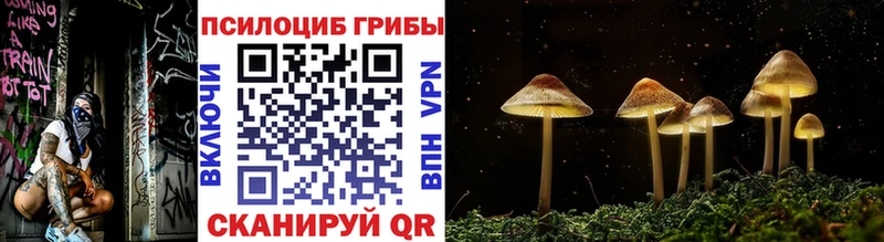 Галлюциногенные грибы мухоморы  дарнет шоп  Сасово 